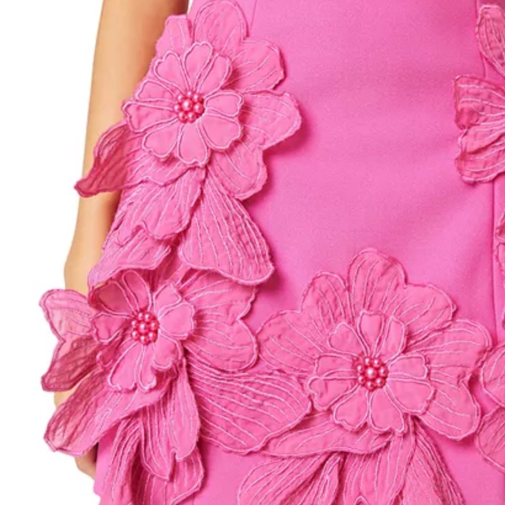 Elliatt Hot Pink Mini Dress with 3D Floral Appliqués - Picture 3 of 4